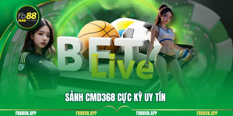 Sảnh CMD368 cực kỳ uy tín 