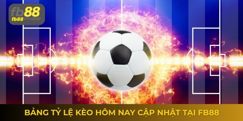 Tỷ lệ kèo nhà cái 5 bóng đá – Nhận định từ chuyên gia 2 Bảng tỷ lệ kèo hôm nay cập nhật tại FB88